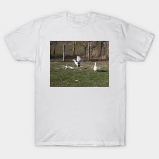 Geese fighting T-Shirt